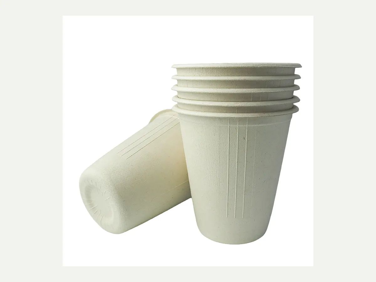 Cups & Saucers molded pulp packaging model