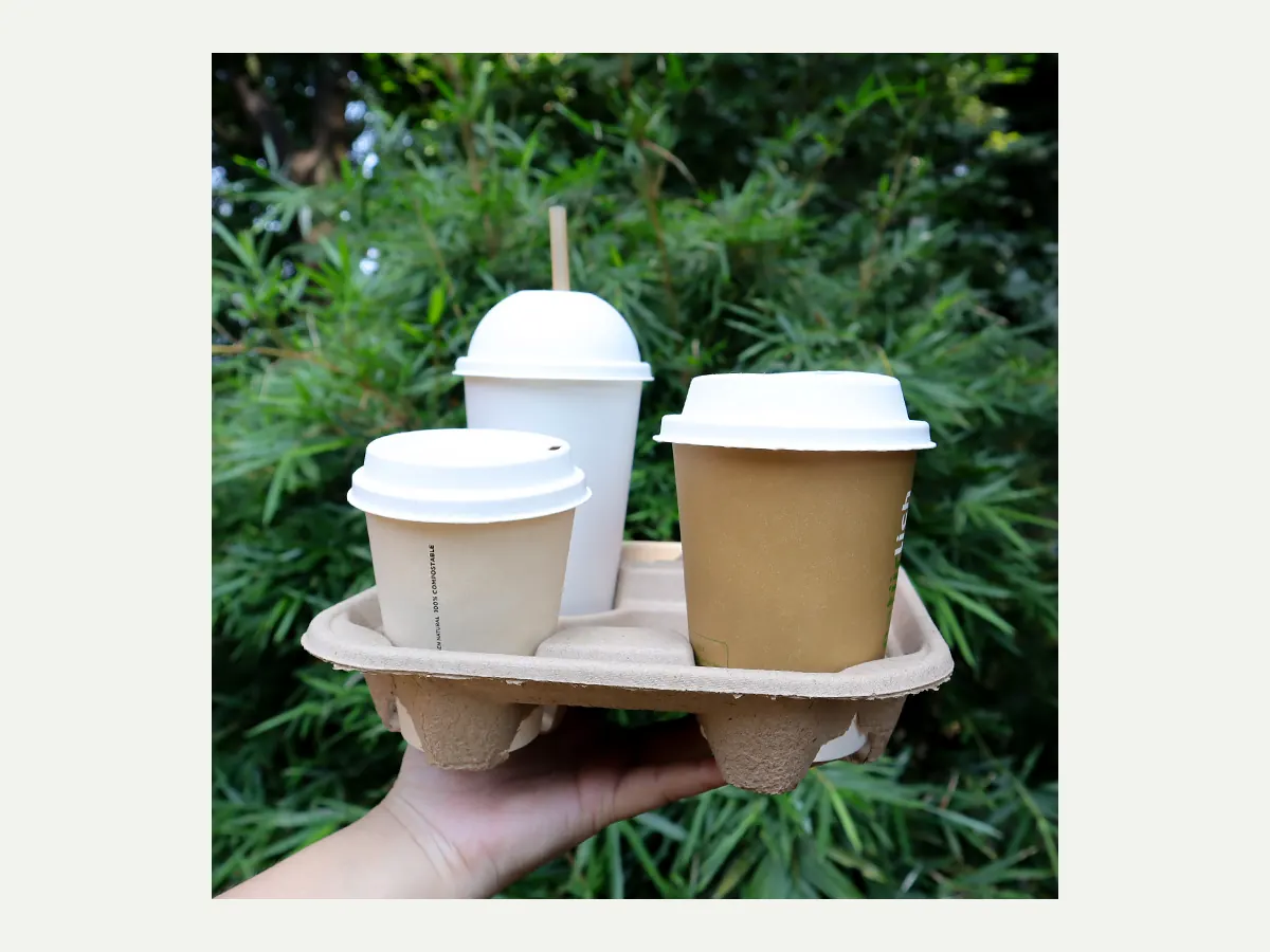 Cup Holders molded pulp packaging model