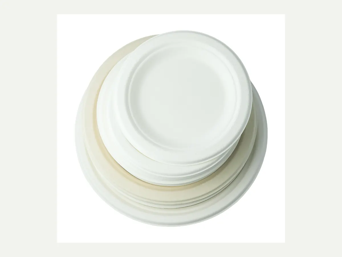 Plates molded pulp packaging model